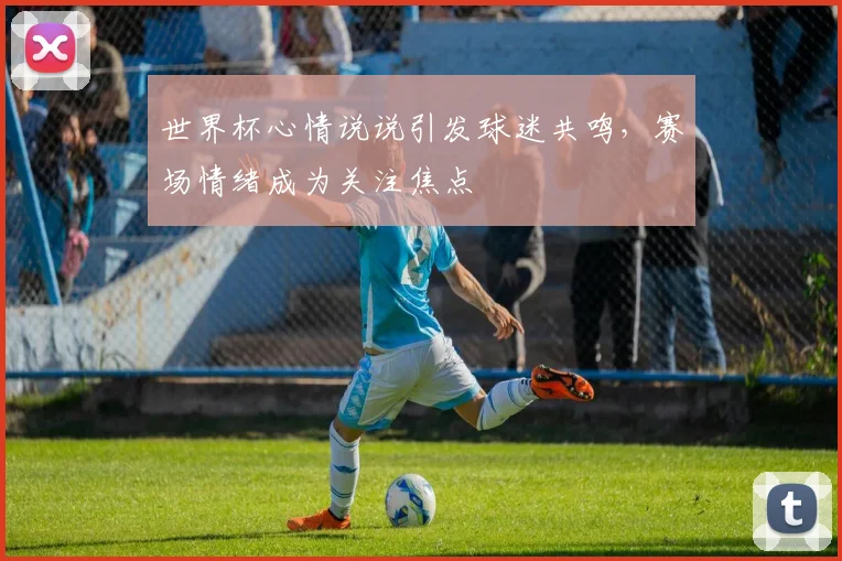 世界杯心情说说引发球迷共鸣，赛场情绪成为关注焦点