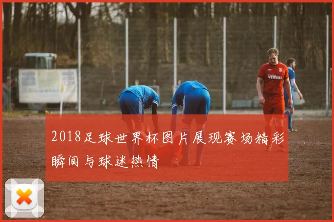 2018足球世界杯图片展现赛场精彩瞬间与球迷热情