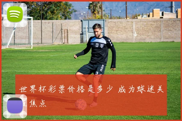 世界杯彩票价格是多少 成为球迷关注焦点