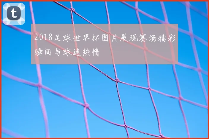 2018足球世界杯图片展现赛场精彩瞬间与球迷热情