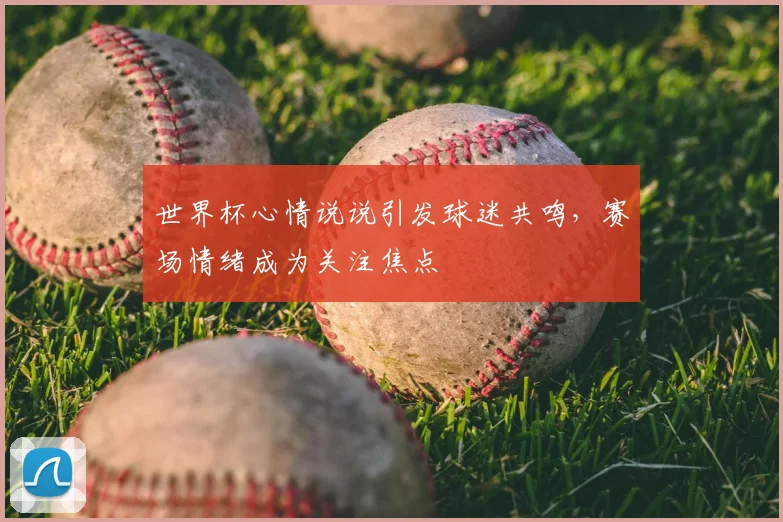 世界杯心情说说引发球迷共鸣，赛场情绪成为关注焦点